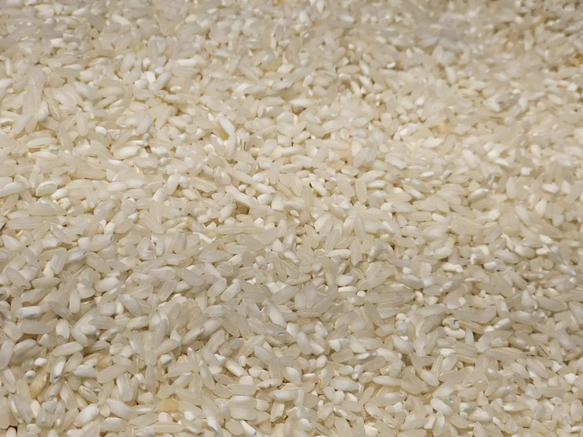 A large quantity of white rice grains